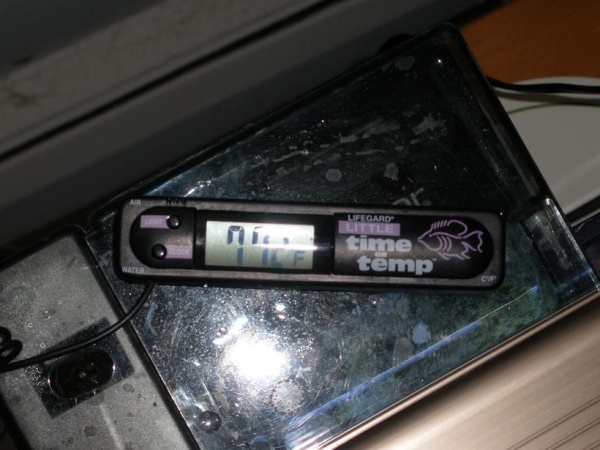I love this little electronic thermometer.  Very accurate.  I highly recommend it.