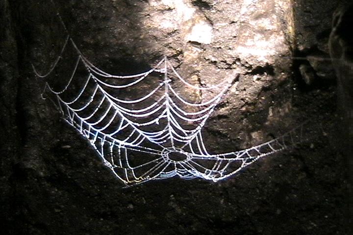 i took this photo with a digital camcorder and a flashlight in decorah ice box cave..awesome aint it?