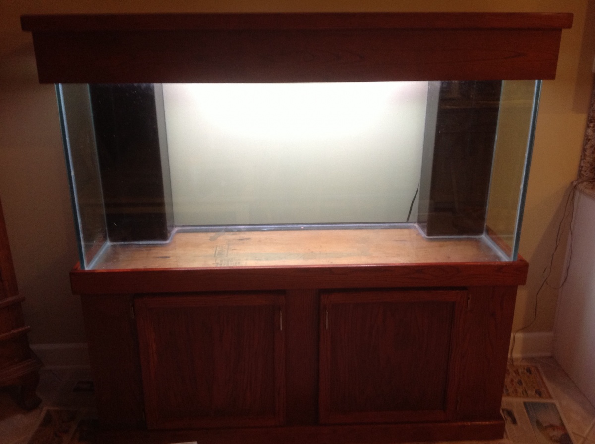 image: In the beginning I had a blank slate. The empty aquarium that would devour hours and hours of my time.