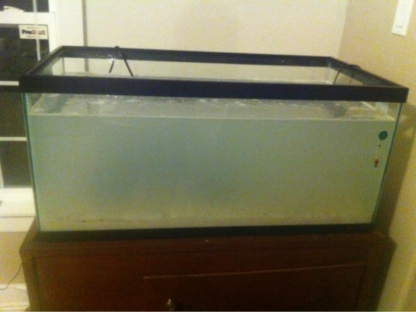 Just added 60lbs live sand 15lbs live rock with premixed water.