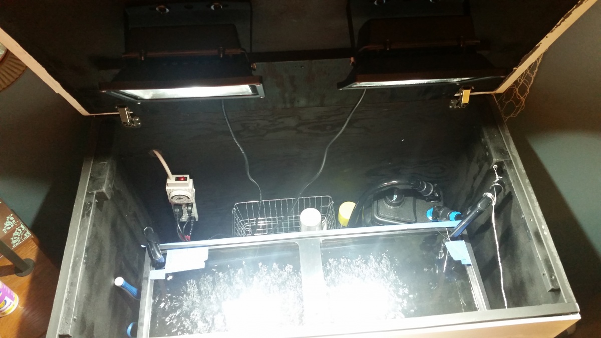 Lights attached to inside of lid, filter in place behind tank, other accessories/ supplies stored behind tank as well.