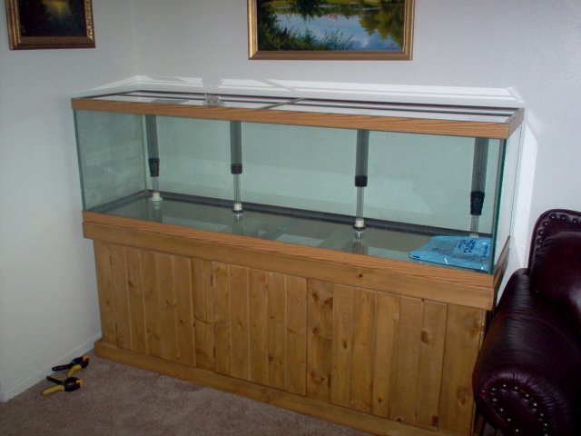 My 125 gallon is finally in place and ready to rock'n'roll!!