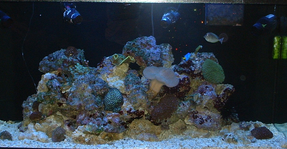 my aquarium 033 60767