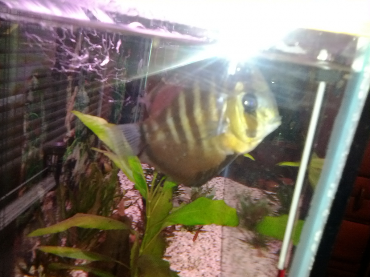 My discus which my girl named Izzy :)