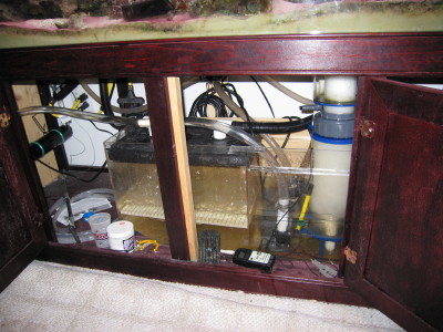 My mechanical room, sump, skimmer and UV.