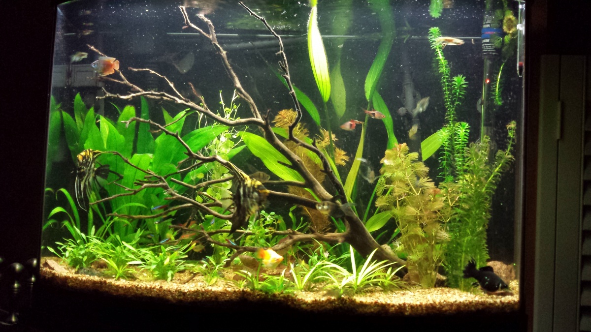 New plants added