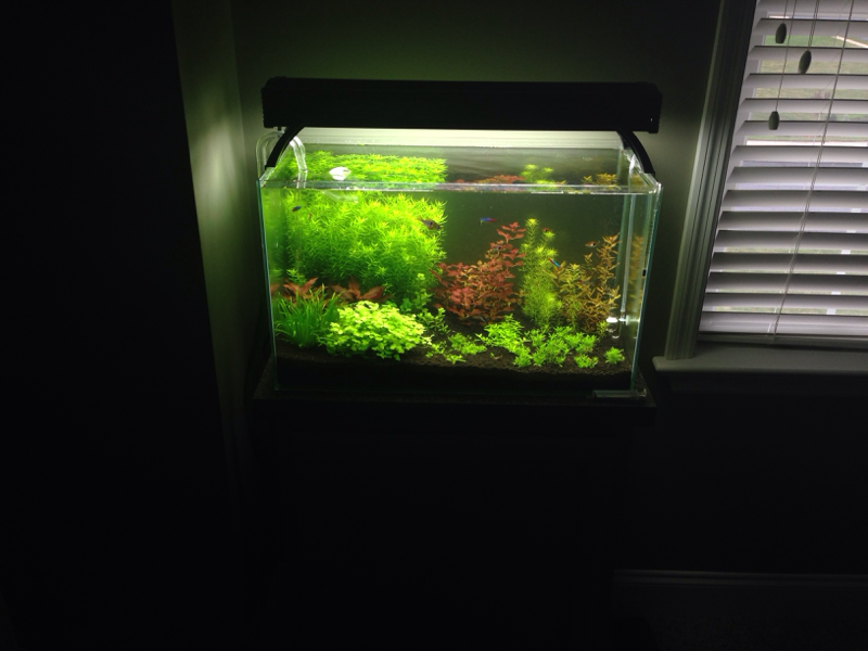 NEWEST FTS: 10/7/13