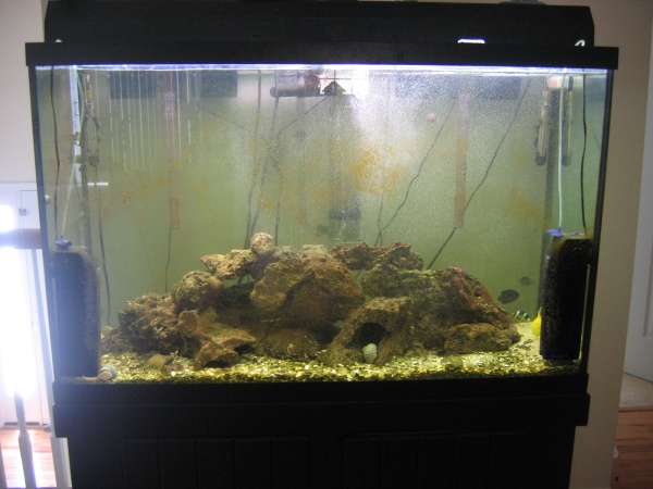 Our Tank