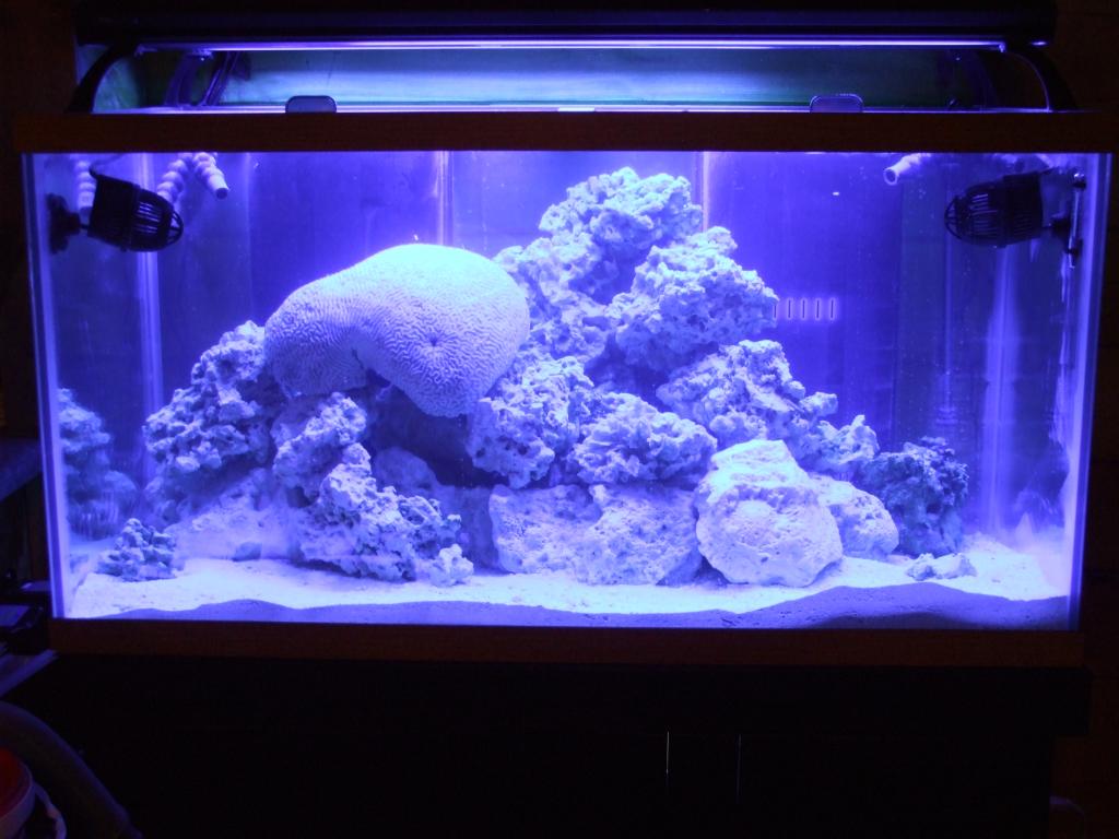 Tank all full, rocks set, cloudiness due to dust on rocks.  Just running it with no life other than live rock for a couple of weeks.