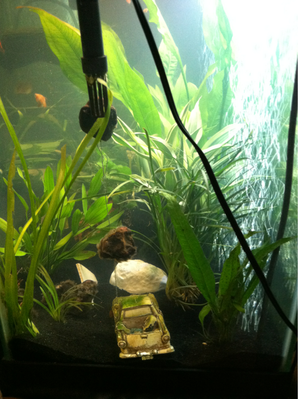 Tank right side view