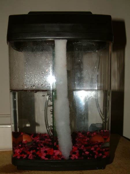 This is a 1 gallon tank from kmart that I got for 9 bucks so I could hold the baby crays for a bit. It comes with an aerator, some crappy gravel, some