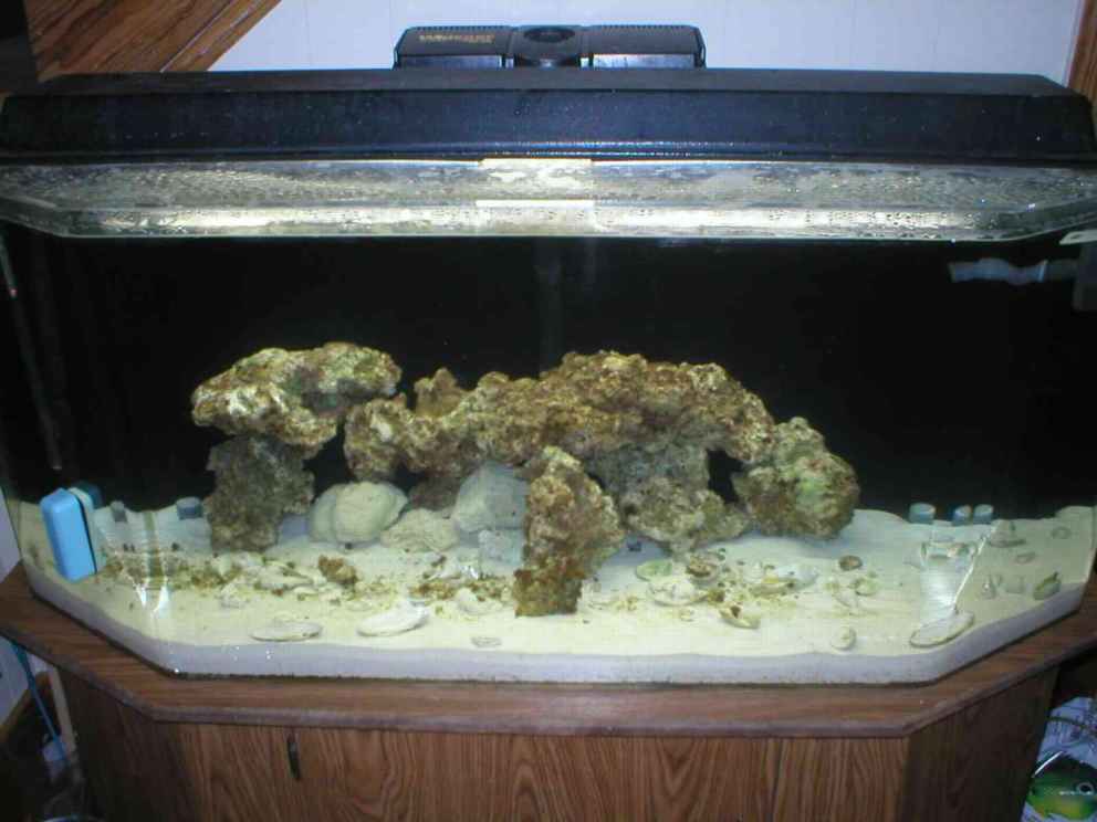 This is my tank with 50# Southdown,5# base rock, and 25# Fiji