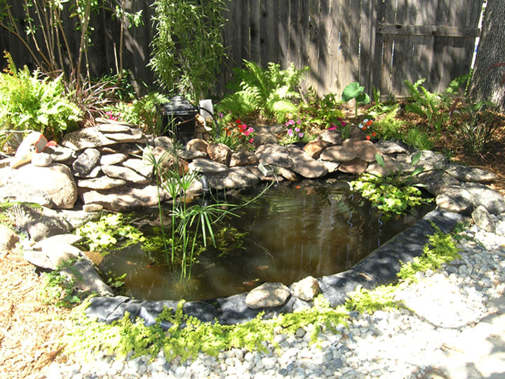 This is that little hole in the ground in some of my pictures after a lot of hard work. It has 6 Shubunkin and 6 small Koi.