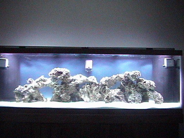 This is the full view of the tank with sand rock, and corals. No fish yet