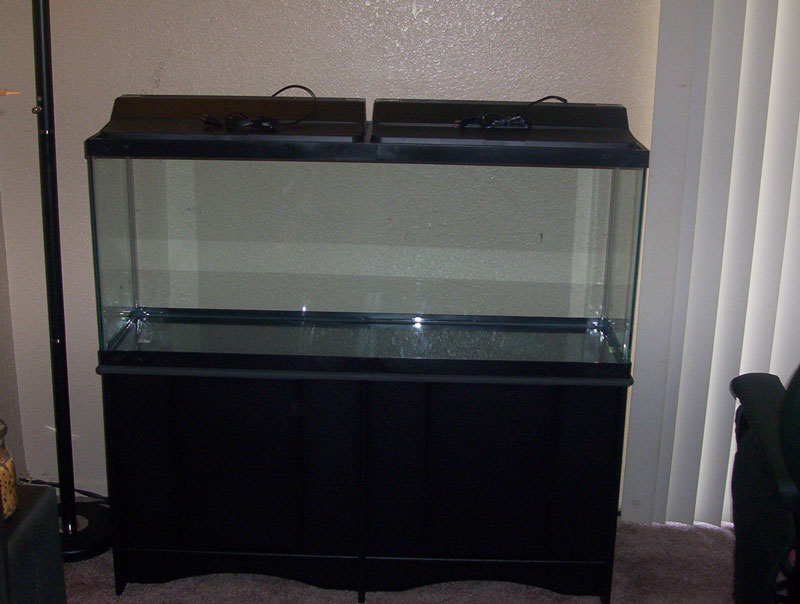 yay, this is my 55gal i got for xmas.. finally an upgrade from my 10 gal! :)