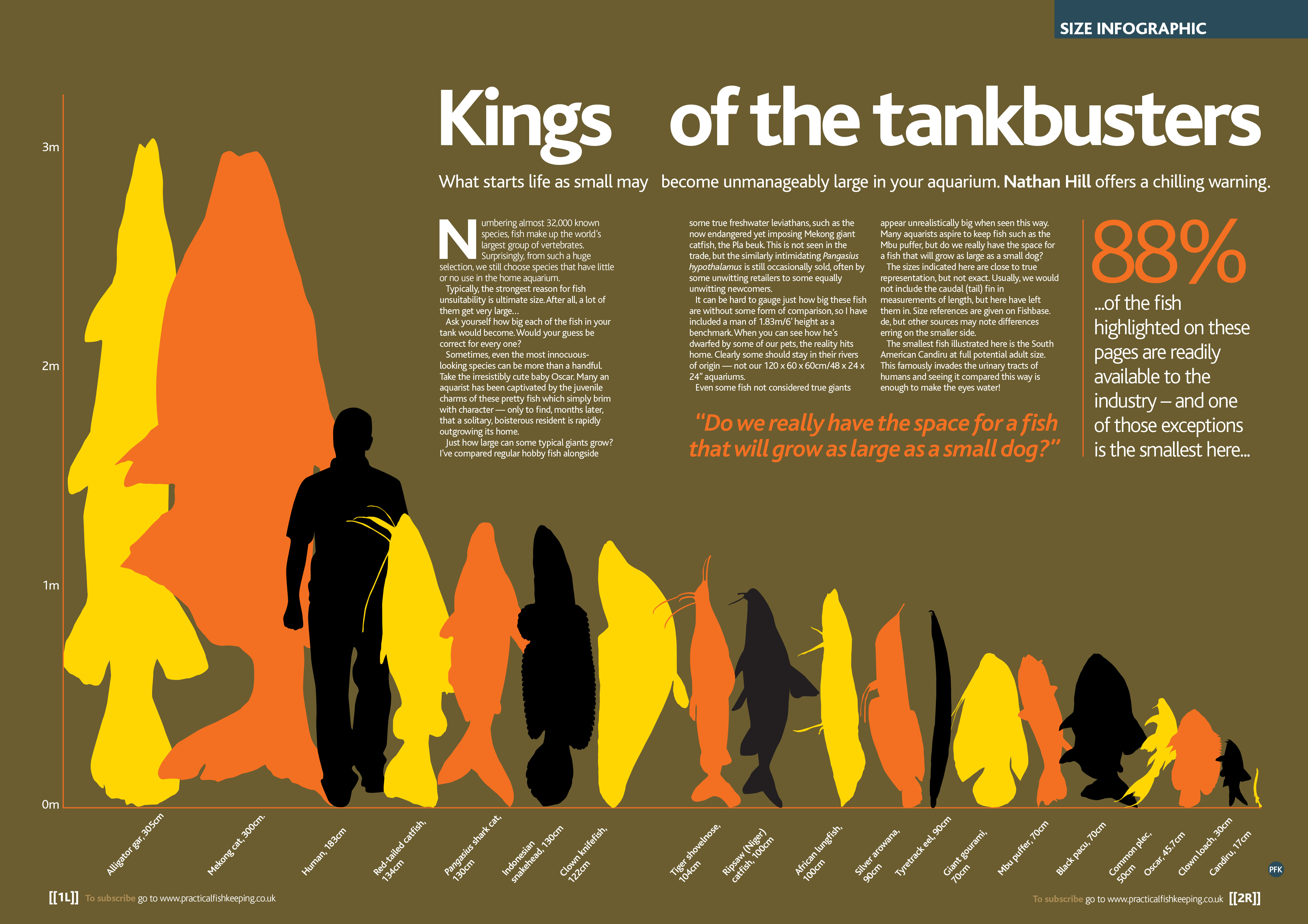 Kings-of-the-Tankbusters.jpg