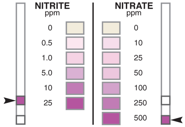 NIT600-Nitrite-Nitrate-Combo.jpg