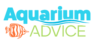 Aquarium Advice  Forum Community