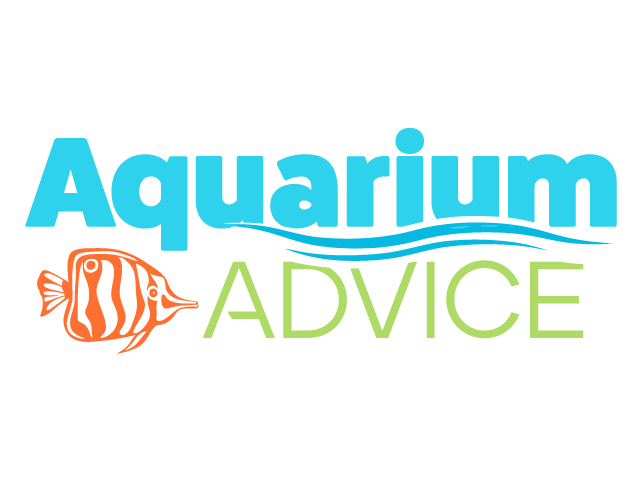 Aquarium Advice  Forum Community