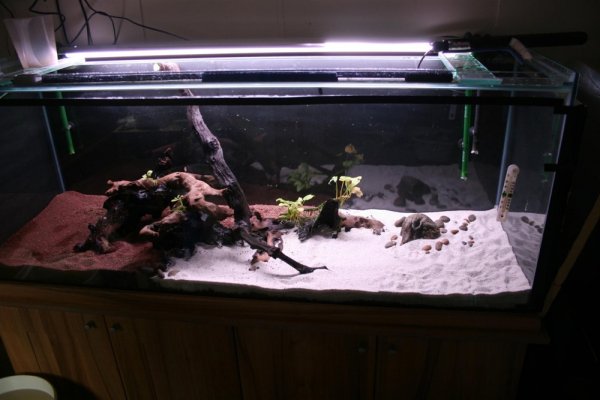 hard scape in (Large).jpg