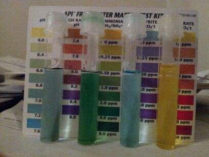 (6) All test results on Jan 19 2013 to double check Ammonia and pH results.jpg