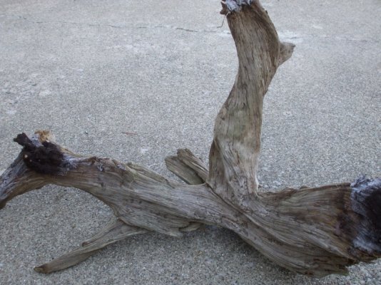 driftwood 001.jpg