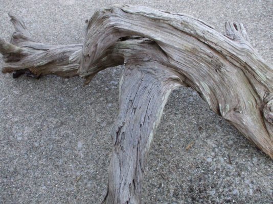 driftwood 003.jpg