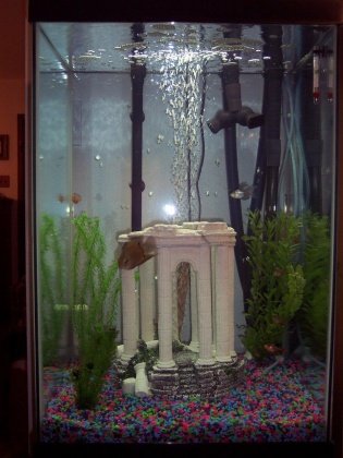 Fish Tank.jpg