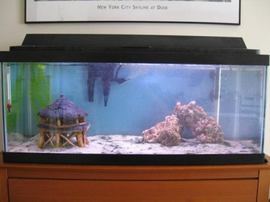 fish tank2.jpg