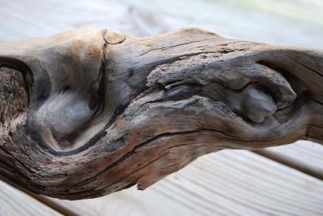 driftwood6.jpg