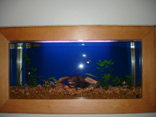 Fish tank wall.jpg