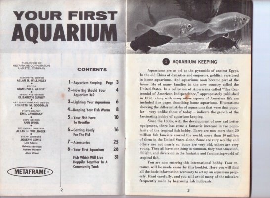 your first aquarium.jpg