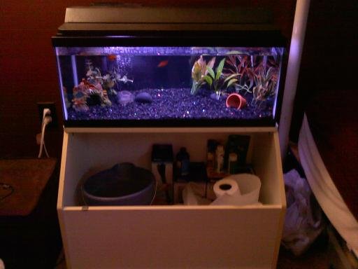 Fish tank on toybox.jpg