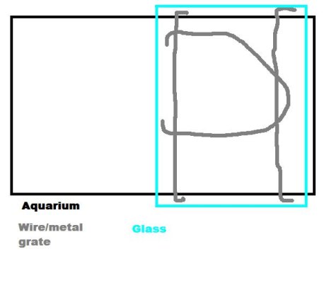 aquarium_109.jpg