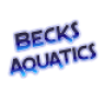 BecksAquatics