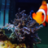 aquarium_Guru