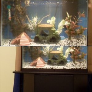 My First Aquarium