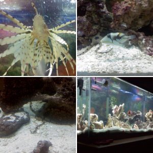 Our Aquarium