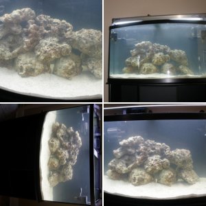 46 Gallon Bow Front Reef Tank