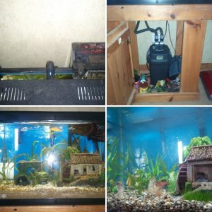Current Aquarium