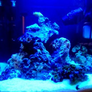 fts actinic