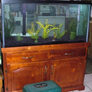 90 gallon, this one now is home to south american cichlids.