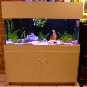 This is another 55gal, we are getting rid of this one, we replaced it with the 160.