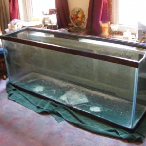 the new/used 72x18x28 tank