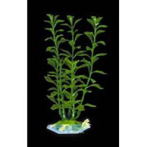 P9400 Blooming Green Ludwigia plastic Plantthatpetplace