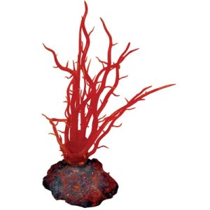 51315194 6in Red Ceramium coral
petsolutions