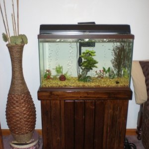 fish tank 006 (600x800)