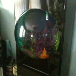 he claims that is a 45 gallon...deosnt look like it bit its pretty big on the inside.....