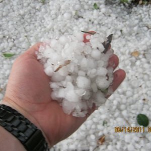 just a small handful of the hail
