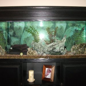 The whole tank and cabinet